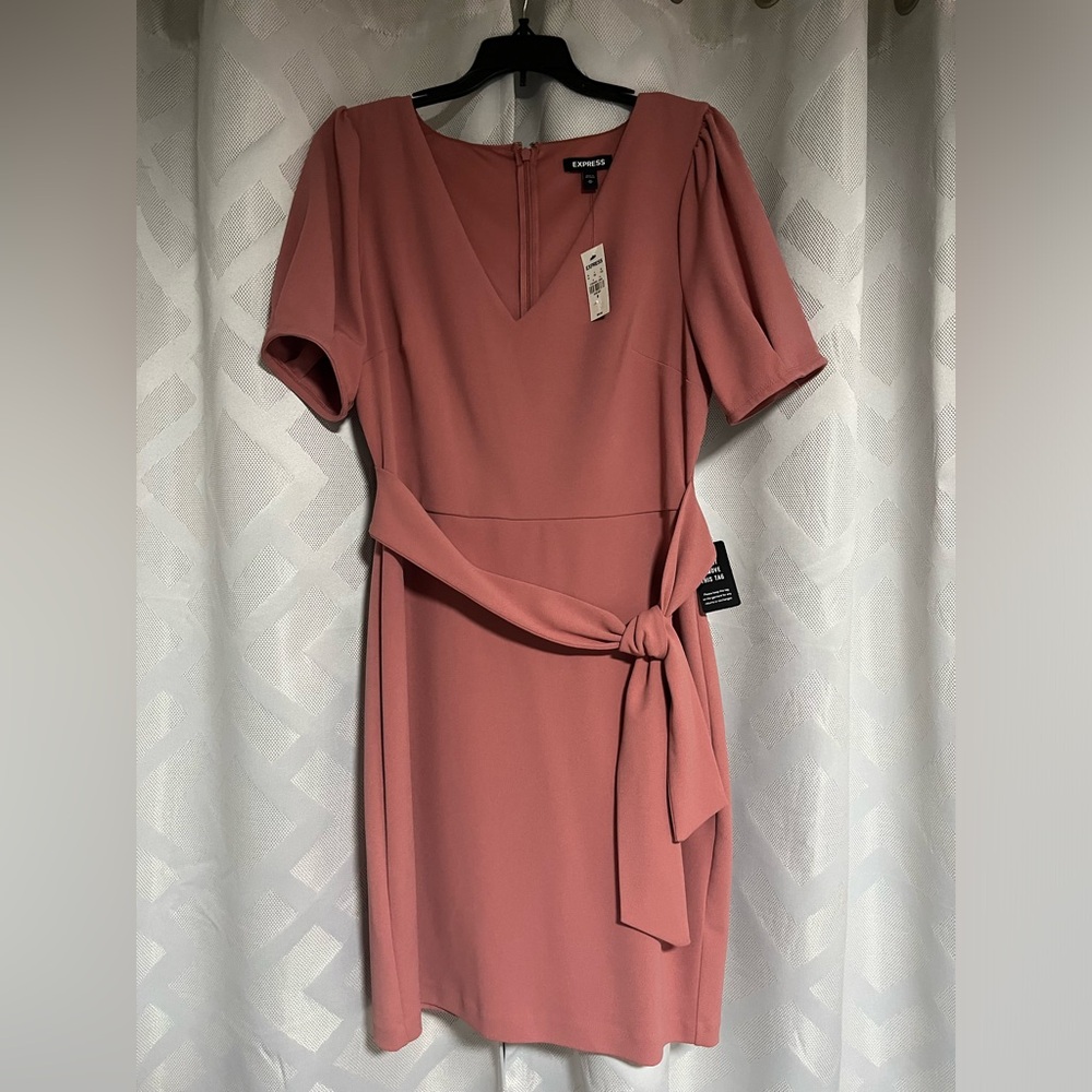 NWT: Express Mauve Cocktail Dress